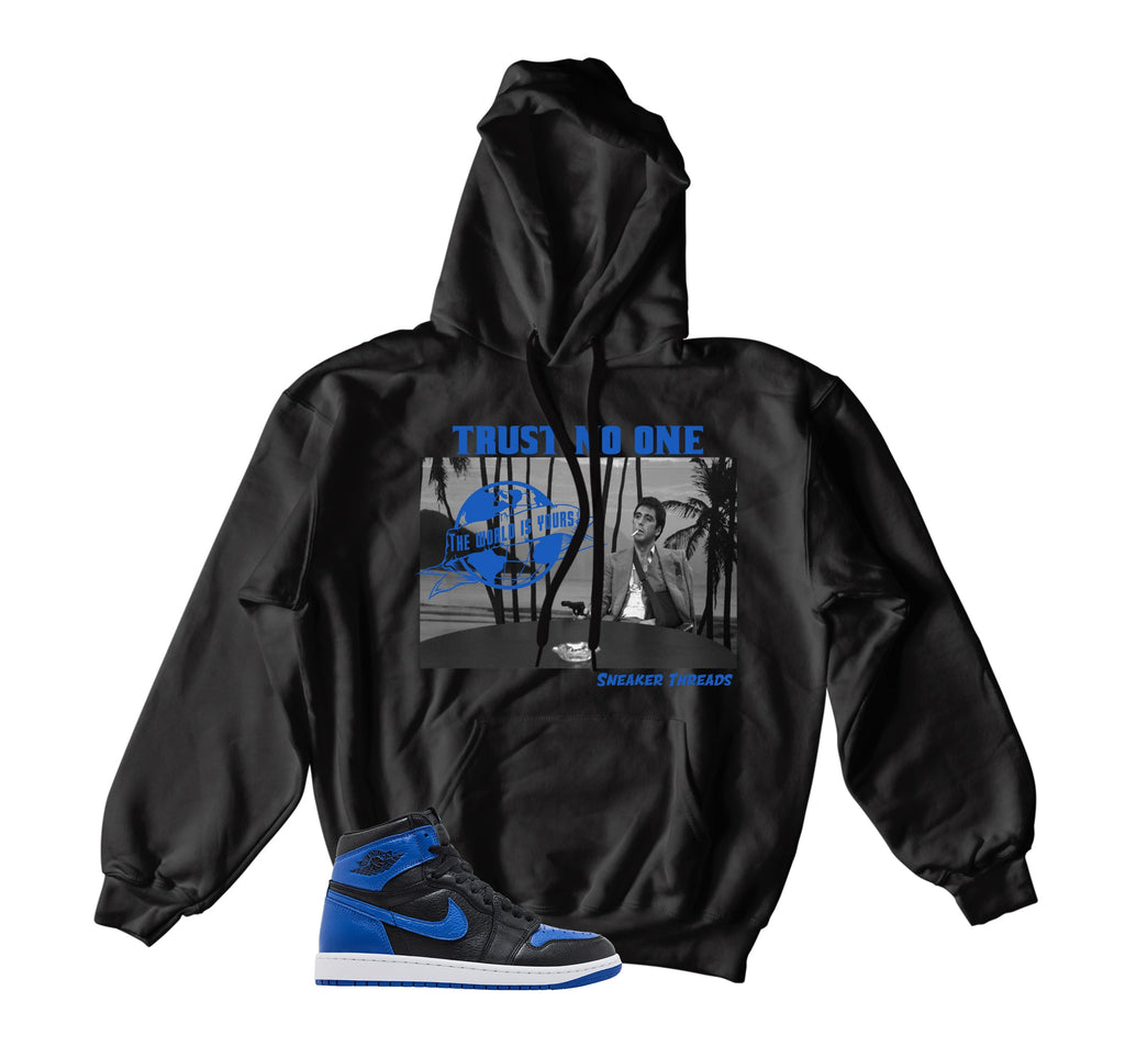 Retro 1 Royal Tony Knows Hoody